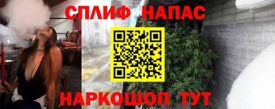 молекула духа Камышлов