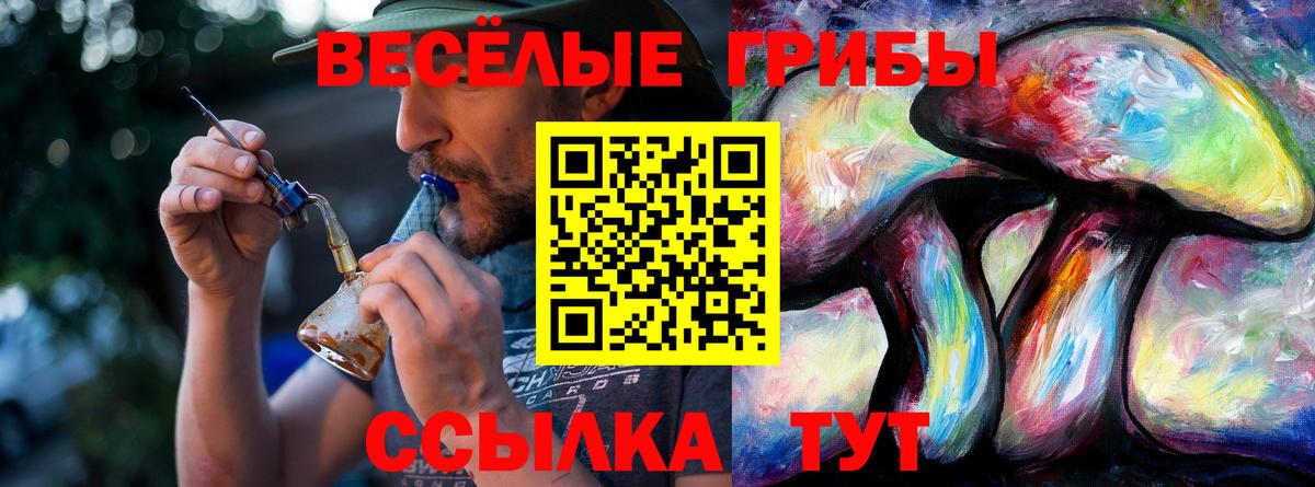 Псилоцибиновые грибы прущие грибы  Вход с VPN  Кировск 